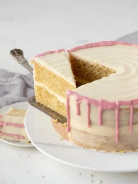 Zweilagige saftige glutenfreie Torte mit Vanille und rosa Drip-Dekor auf weißem Teller