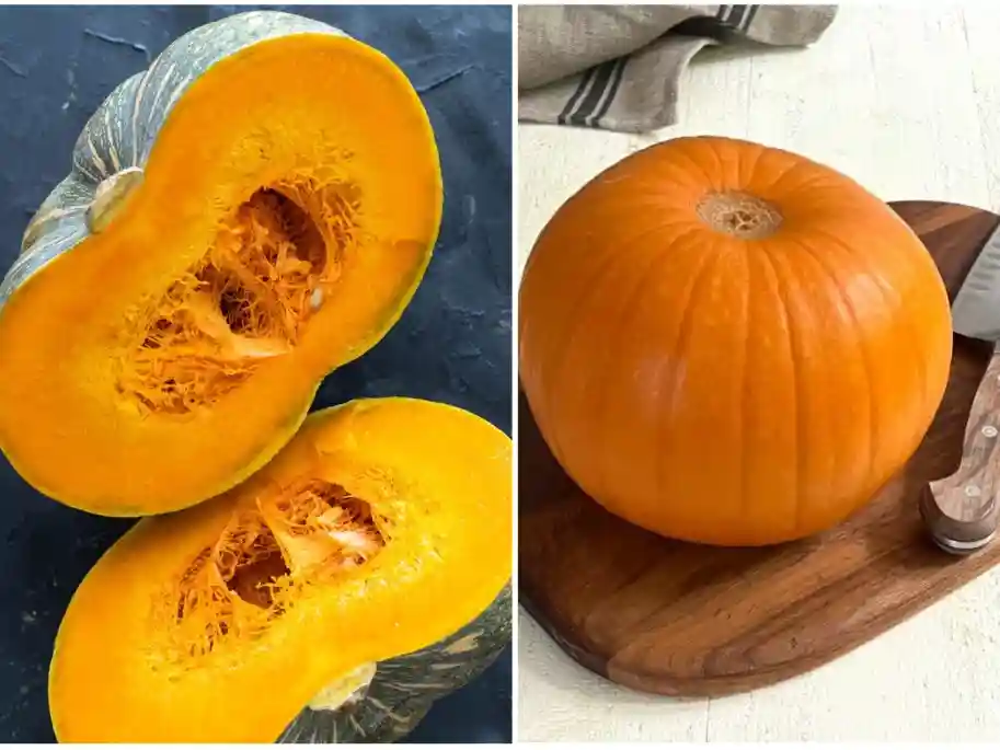 Hokkaido Kürbis und Muskatkürbis – perfekte Sorten für Ofenkürbis Rezepte