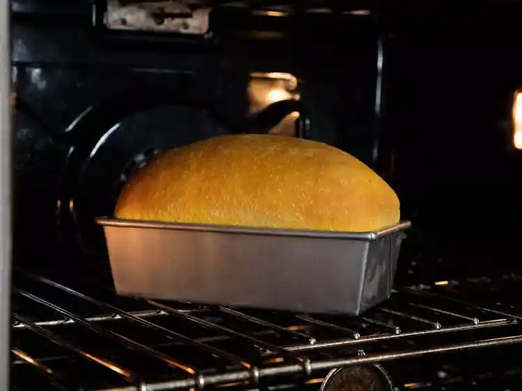 Kürbisbrot mit Trockenhefe im Backofen – goldbraun gebacken