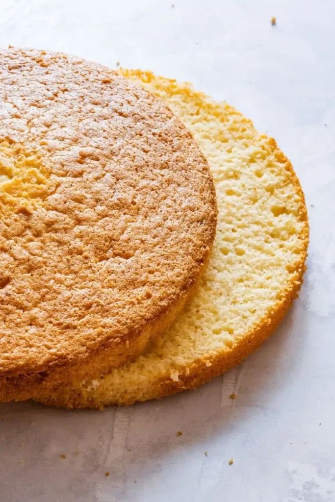 Biskuitboden Rezept – luftiger Biskuitboden für Torten und Obstkuchen in Schichten geschnitten