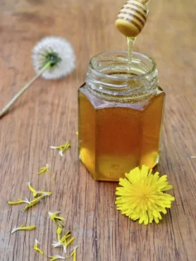Löwenzahnhonig im Glas mit Löwenzahnblüte und Honiglöffel als selbst gemachter Löwenzahn Honig