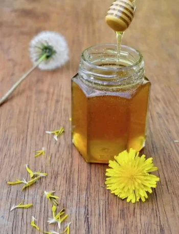 Löwenzahnhonig im Glas mit Löwenzahnblüte und Honiglöffel als selbst gemachter Löwenzahn Honig