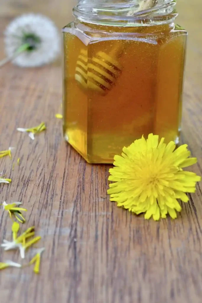 Goldener Löwenzahnhonig im Glas mit Löwenzahnblüte als selbst gemachter Löwenzahn Honig