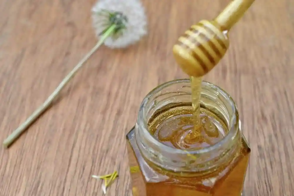 Löwenzahnhonig im Glas mit Honiglöffel als goldener Löwenzahn Honig selbst gemacht