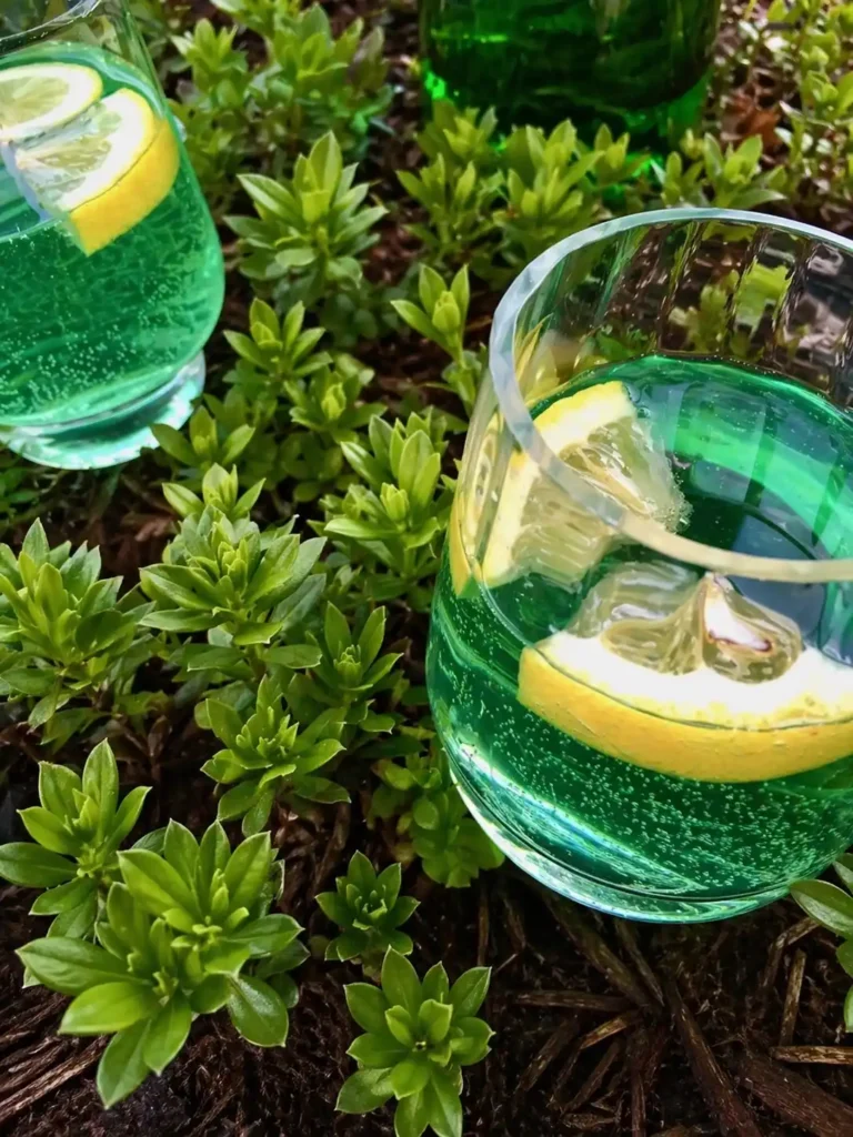 Maibowle alkoholfrei mit Zitrone im Glas als frische Waldmeisterbowle im Grünen serviert