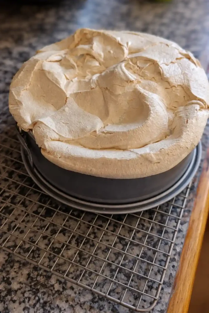 Rhabarberkuchen mit Baiser fertig gebacken – goldene Baiserhaube auf Omas Rhabarberkuchen mit Rührteig