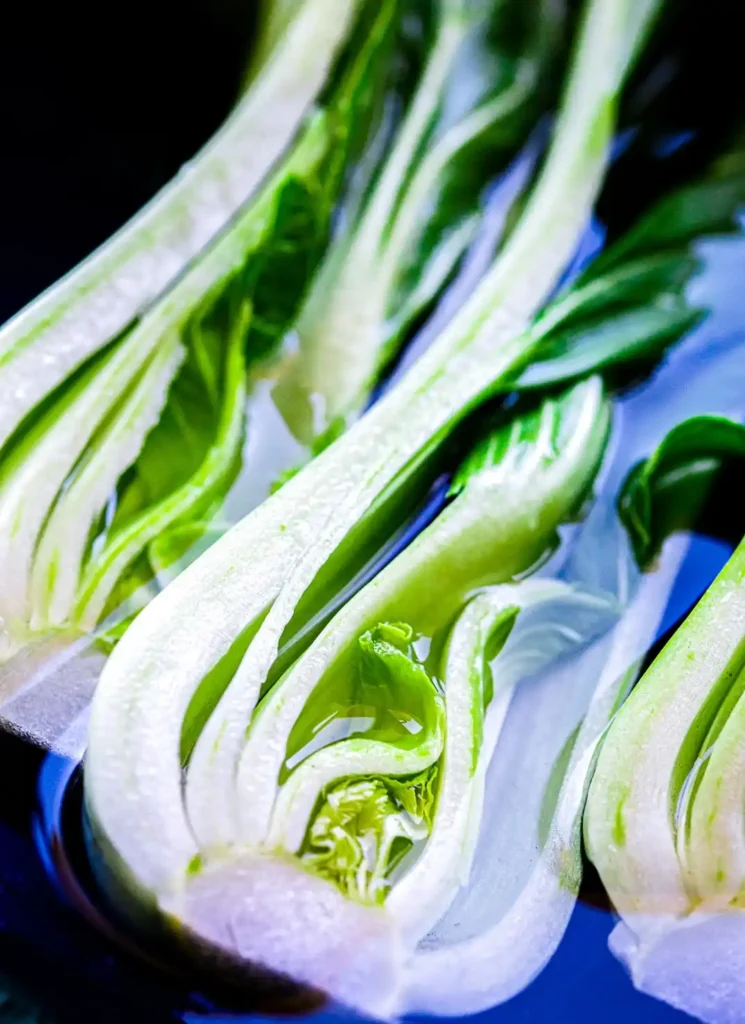 Frischer Pak Choi im Wasser – Vorbereitung für Pak Choi mit Reis aus der Pfanne