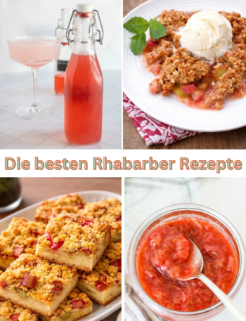 Collage mit den besten Rhabarber-Rezepten wie Rhabarbersirup, Rhabarber Crumble, Rhabarberkuchen und Kompott