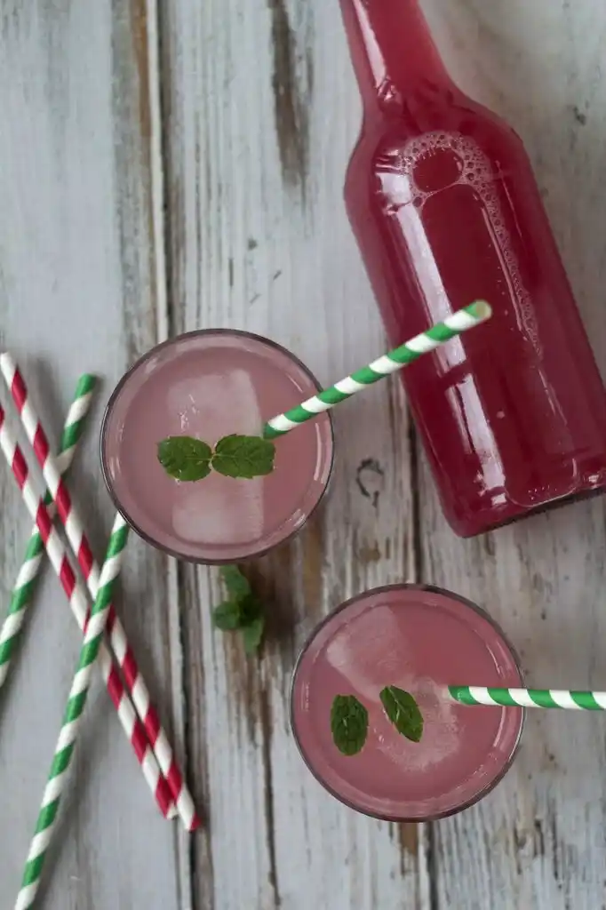 Rhabarbersaft selber machen ohne Entsafter – fertiger Rhabarber Saft im Glas mit Eis und Minze von oben