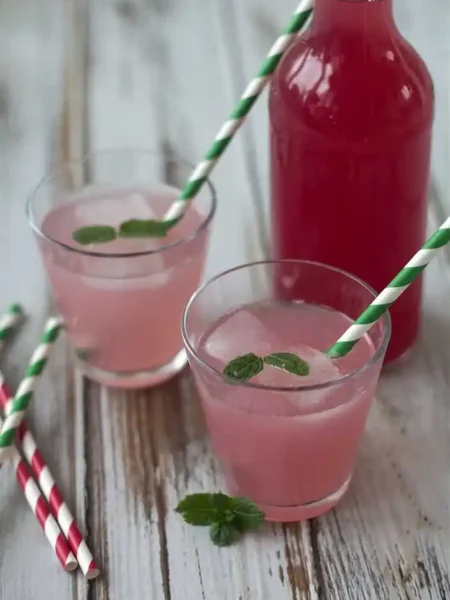 Rhabarbersaft selber machen ohne Entsafter im Glas mit Eis und Minze – fruchtiger Rhabarber Saft selbst gemacht