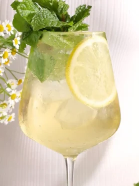 Hugo alkoholfrei im Weinglas mit Minze, Zitrone, Eiswürfeln und Holunderblütensirup