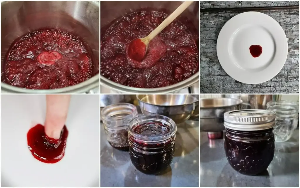 Brombeermarmelade ohne Kerne kochen, Gelierprobe auf einem kalten Teller machen und heiß in ein sterilisiertes Glas füllen.