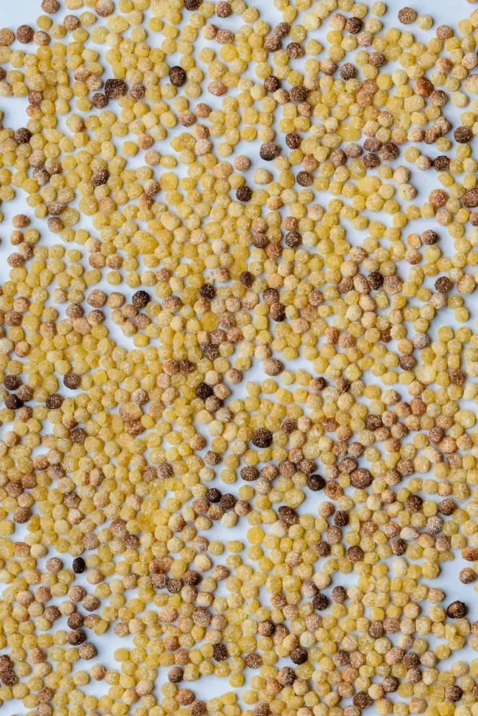 Trockene Fregola Sarda Tostata aus Hartweizengrieß in verschiedenen Röststufen